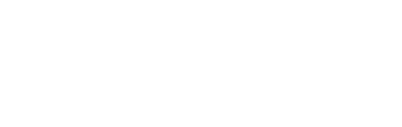 VICE